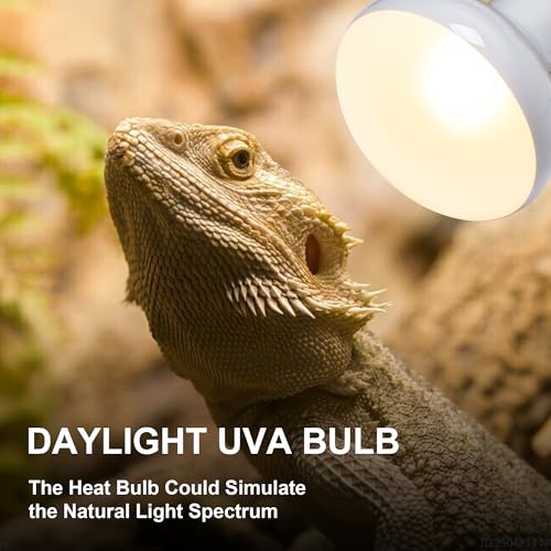 Heat lamp Bulbs Day & Night Combo, 100 Watt UVA Daylight Basking Spot Light and Red Infrared Heating Light for Bearded Dragon, Turtle, Lizard, Snake, Tortoise, Chameleon, Amphibians - 2 Pack - size: Red + White