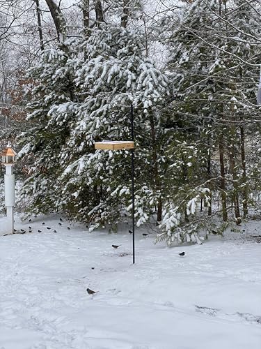 Rocky Mountain Goods Wood Bird Feeder Tray for Outside - 12" Hanging Platform Feeder for Cardinals, Jays - Universal Seed Tray with Drainage - Easy to Fill & Clean - Durable Pine + Rust-Free Hardware