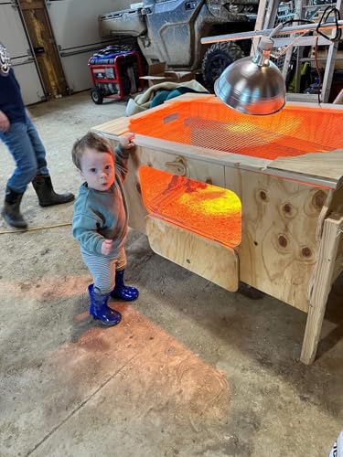 Ben's E-Z Brooder