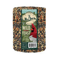 Mr. Bird WildBird Feast Cylinder, 1-Pack, 4 lbs | Wild Bird Seed for Outside Feeders | Premium Blend of Pecans, Sunflower Hearts & Millet | No Mess, No Melt - size: 4 Pound (Pack of 1)