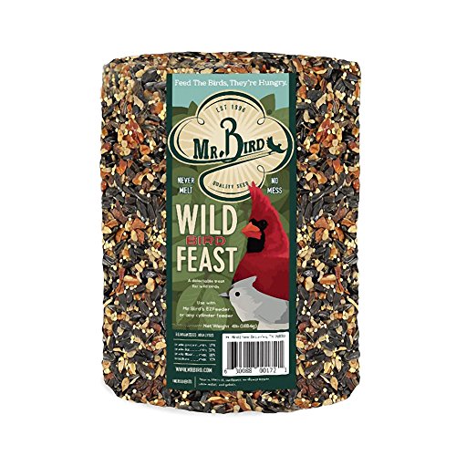 Mr. Bird WildBird Feast Cylinder, 1-Pack, 4 lbs | Wild Bird Seed for Outside Feeders | Premium Blend of Pecans, Sunflower Hearts & Millet | No Mess, No Melt - size: 4 Pound (Pack of 1)