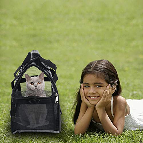 MuchL Pet Carrier Soft-Sided Carriers for Cat Carriers Dog Carrier for Small Medium Cats Dogs Puppies Pet Carrier Airline Approved Cat Dog Pet Travel Carrier (Medium,Black) - color: Medium-Black