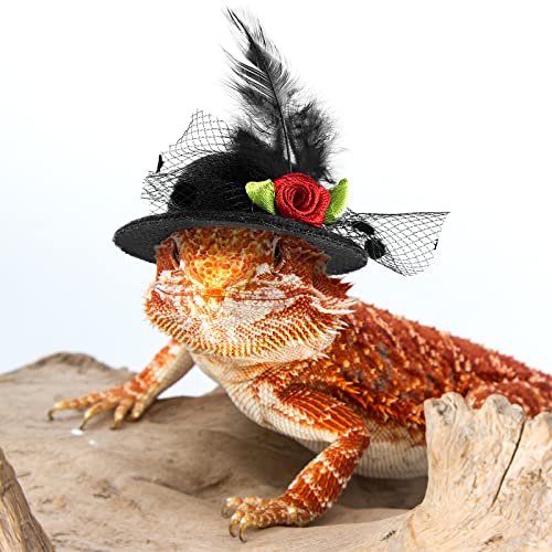 Weewooday 6 Pieces Chicken Hats for Hen Mini Chicken Helmet Accessories Feather Top Funny Small Hat Funny with Adjustable Elastic Chin Strap for Animal Costume (Fresh Color, Classic Style)