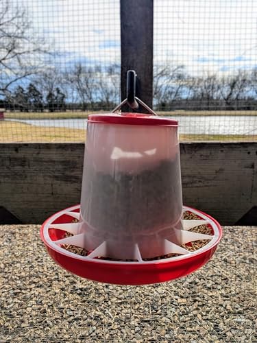 Large Chicken Feeder 11-Pound Capacity for All Poultry | Durable Feeding Container with Carrying Handle for Chickens, Ducks, Turkeys, Quail, Baby Chicks, Turkeys and More - size: 11 Pounds