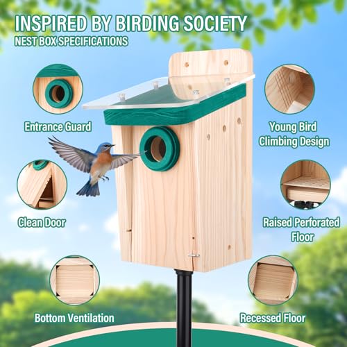 2-Pack Cedar Bluebird House for Outdoors, 1.5" Entry, DIY Kit | 3/4-inch Thick Wood With Double-Layer Roof, Cleaning Door & Assembly Guide; Ideal For Chickadees & Wrens - style: Contemporary
