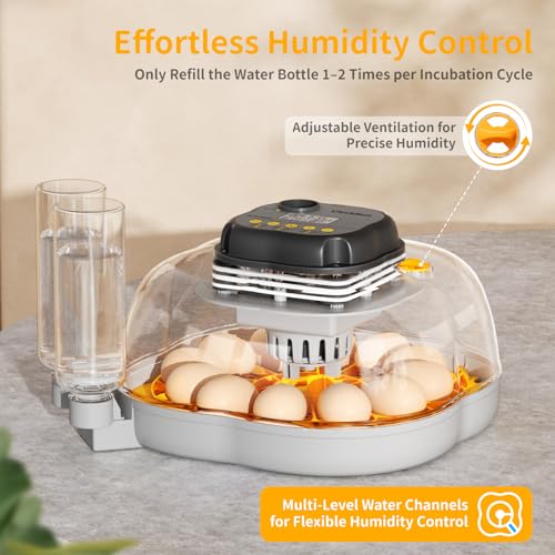 Egg Incubators for Hatching Eggs, 12 Chicken or 30 Quail Eggs Incubator | Dual Egg Trays, Auto Egg Turning, Auto Water Refill, Incubation Timer, 360° Clear View Window & Built-in Egg Candler - color: Yellow, size: 12 Eggs