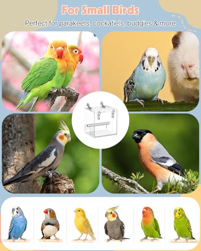 Pawfly No Mess Bird Feeder, Clear Acrylic Bird Cage Feeder, Hanging Bird Feeder for Cage, Parakeet Feeder, Bird Seed Catcher, Food Container for Parrot, Cockatiel, Budgie & Lovebird, Small - size: Small