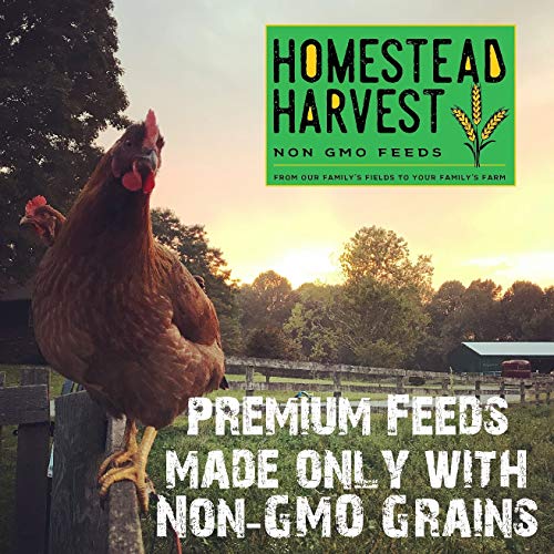 Non-GMO Whole Grain Layer Blend 16% - Chicken Feed for Laying Hens and Ducks - Includes Essential Oils, Herbs, Oyster Shells, Vital Minerals, and Omega 3, 25lb - size: 25 Pound (Pack of 1)