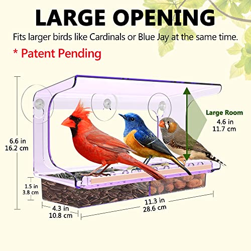 LUJII Purple Window Bird Feeder with 5 Super Strong Suction Cups, All One Piece Construction, Removable Seed Tray, Accommodates Large Birds Like Cardinals or Blue Jay for Outside Wild Bird Feeding - color: Purple, size: M