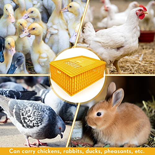 Sintuff Poultry Carrier Crate Plastic Chicken Transport Cage Bird Carriers Chickens Carrier Travel Crate Basket Box for Poultry Chicken Bird Duck Goose, 29.5 x 21.7 x 11.6 Inch (2 Pcs)
