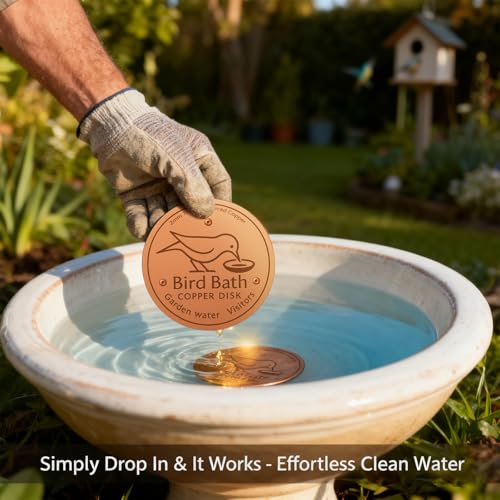 3 Pcs Heated Bird Bath Copper Disks for Outdoor Use | Solar Powered Warmth Disks for Bird Baths Decks Railings Stands Gardens Patios and Winter Outdoor Bird Care