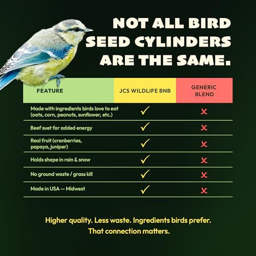 JCs Wildlife No Mess No Waste Fruit Blend Bird Seed Cylinder with Hole, Hull Free Wild Bird Food for Outside Feeders, Cardinals Woodpeckers Chickadees Nuthatches Wrens, Made in the USA, 2 lb Pack of 6 - size: 2 Pound (Pack of 6)
