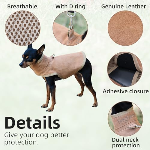 Dog Protection Vest - The Surface Layer of Genuine Leather (XS, Brown) | Dog Protection Ves Tough and Wear-Resistant, Protection Against Attacks by Coyotes, Hawks, Raptors, and Birds of Prey - size: XS