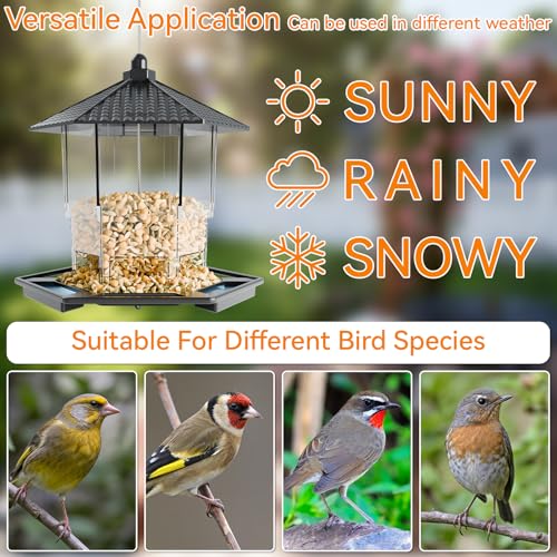 Hanging Bird Feeder for Outdoors,Large Hopper Squirrel Proof Birdfeeder for Cedar,Red,Cardinal,Blue Jay and Wild Birds,Easy to Feel Birdhouse & Bird Seed Feeder & Gazebo for Outside,Tree,Black