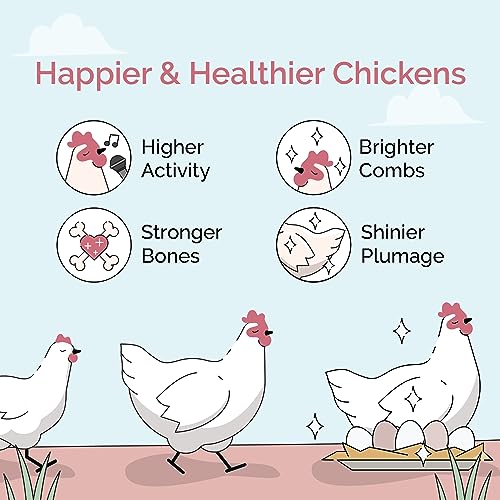 Mile Four Organic Chicken Feed, Layer Pellet, Non-GMO, USA Grown 23 lbs | 16% Protein; Corn & Soy-Free; USA Grown; Non-Medicated; No Fillers or Additives; Supports Egg Production; Family Farm Sourced - size: 23 Pound (Pack of 1), style: Pellet