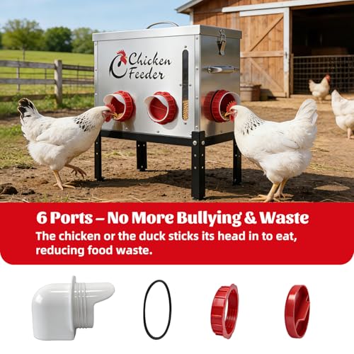 40LB Metal Chicken Feeder, Rat Proof Automatic Chicken Feeder with Visible Window & 6 Ports, Galvanized No Waste Poultry Feeder for Chickens, Ducks, Geese - size: 40 LBS