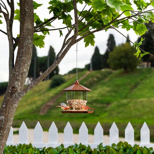 Bird Feeders for Outdoors Hanging,Large Capacity Birdfeeders for Outside Squirrel Proof,Hanging Mount Bird Seed Feeder Hopper for Cardinals,Finches Food Holder and Garden Decoration,Brown