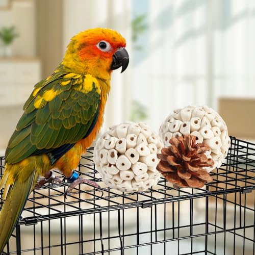 Kyouki Bird Toys Parrot Natural Bird Foraging Box Foot Toys for Parakeets,Cockatiels,Conures,Love Birds,and Other Small to Medium Birds (Large) - size: Large