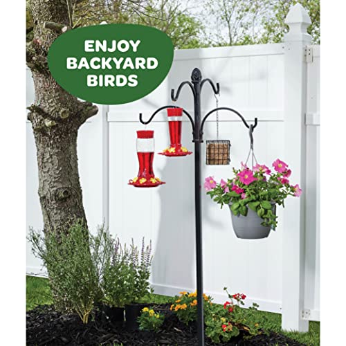 Hummingbird Feeder [Set of 2] Leakproof Clear Plastic 10 oz Wide Mouth. | Features A Built-in Ant Guard - Circular Perch with 5 Feeding Ports - Wide Mouth/2 Part Base for Easy Filling & Cleaning. - size: 10 oz - 2 Pack