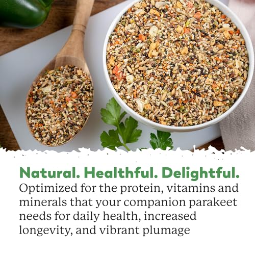 Dr. Harvey's Our Best Parakeet Food, Wholesome Seeds, Nuts, Fruits, and Vegetable Bird Feed for Budgies and Parakeets (4 Pounds/1.81 kg) | Seeds, Nuts, Fruits & Vegetables - Bird Feed for Budgies & Parakeets