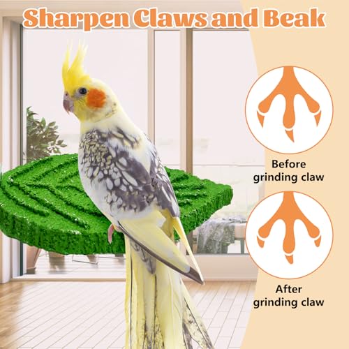 3 Pcs Parrot Perch Resin Bird Beak Grinding Stone Leaf Shape Perch Stand Foot Clawing Trimmer Bird Cage Accessories for Cockatiels Conures Budgies Lovebirds (Green) - color: Green, size: Leaves