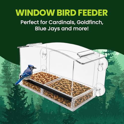 Acrylic Clear Window Bird Feeder with Strong Suction Cups, Removable Sliding Seed Tray, Weather-Resistant & Easy to Clean for Window Viewing, Earth-Friendly Dome - size: Style: Eco-Friendly Dome