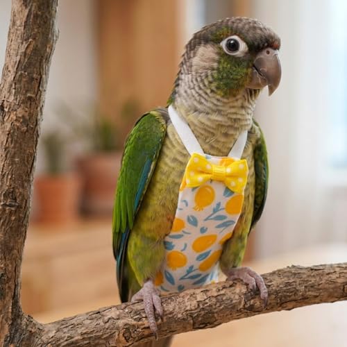 4 PCS Bird Diaper Reusable Parrot Diaper for Parakeet Cockatiel Mini Macaw Budgie Canary Indoor Outdoor (M)