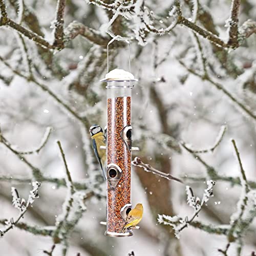 1PK Metal Wild Bird Feeder,Squirrel Proof Bird Feeders for Outside,Hanging 6 Port Tube Bird Feeder Transparent Finch Bird Feeder for Attracting Birds in Your Lawn, Garden, Balcony-Bronze - color: Bronze