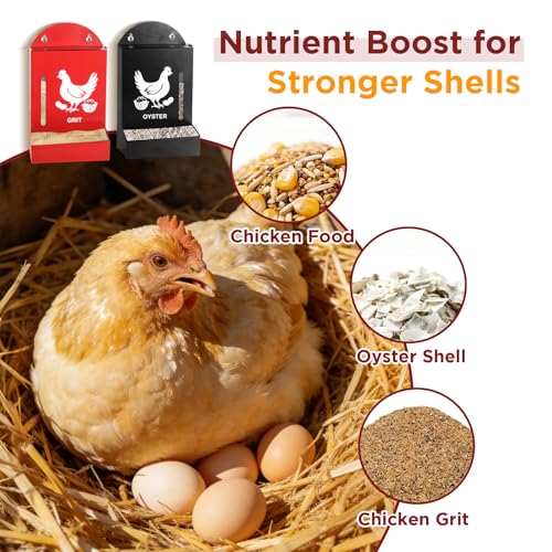 2 Pack Chicken Grit and Oyster Shell Feeder, Metal Oyster Shell Feeder with Visual Window and Lid, Hanging Gravity Chicken Grit Feeder, Chicken Coop Accessories for Healthier Hens and Eggs