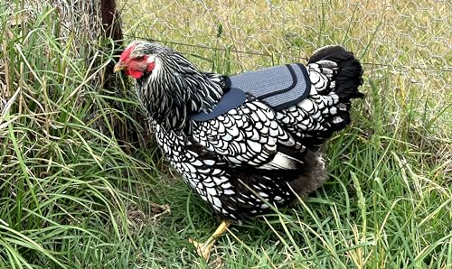 DOWN UNDER OUTDOORS Medium-Large Chicken Saddle Hen Apron Saver (Gray Mesh) - color: Grey Mesh