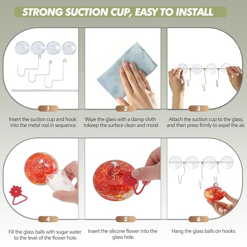3PCS Window Hummingbird Feeder with Suction Cups(Red) - color: Red