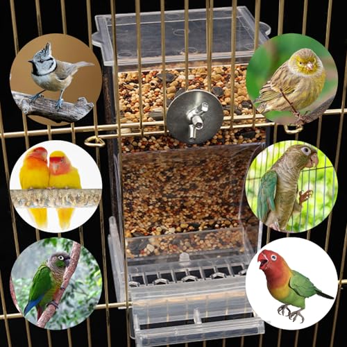 No Mess Bird Feeder Water Dispenser Set Acrylic Automatic Parrot Feeder | Transparent Parrot Food Container Drinker Cage Accessories for Small Birds Canary Finch (Dark green, 1) - color: Dark green