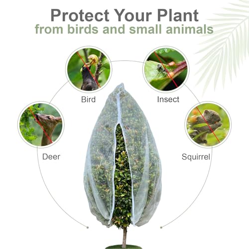 Fruit Tree Netting Cover with Zipper & Drawstring, 2 Packs 4ft x 4ft Insect Bird Barrier Netting for Garden Protection, Ultra Fine Mesh Garden Netting - size: 4 x 4 ft(2 Packs)