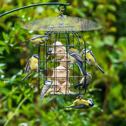 GANAZONO Plastic Bird Feeder Rain Cover Squirrel Baffle for Bird Houses or Hanging Humming Feeder Station Pole | Squirrel Baffle for Bird Houses or Hanging Humming Feeder Station Pole