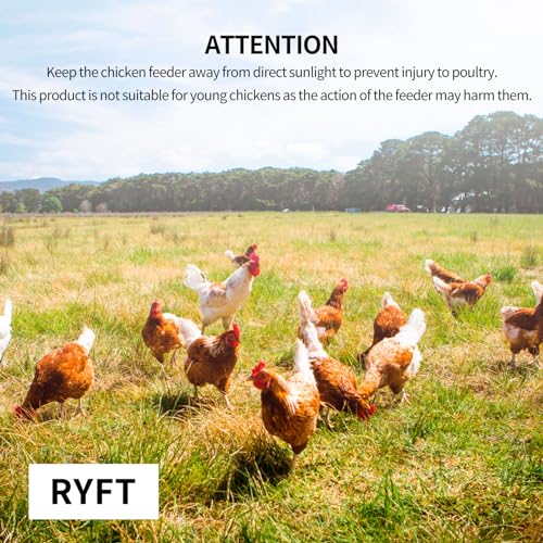 RYFT Automatic Chicken Feeder 25 lb Galvanized Steel Poultry Feeder, Up to 12 Chickens 10 Days with Weatherproof Lid, for Chickens, Ducks, Fowl