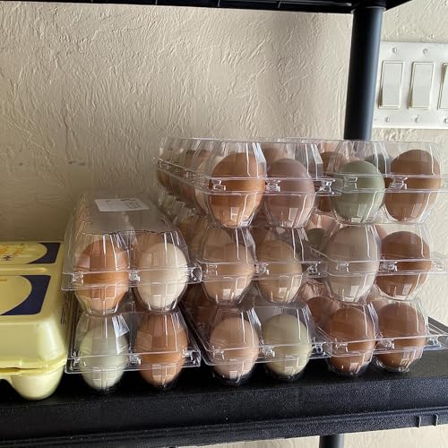 FUNSUEI 50 Pack Plastic Egg Cartons Bulk, 12 Egg Reusable Egg Cartons, Empty 1 Dozen Chicken Egg Tray Holders Clear Refrigerator Eggs Cartons Bulk for Storing, Gifting, Selling, Displaying