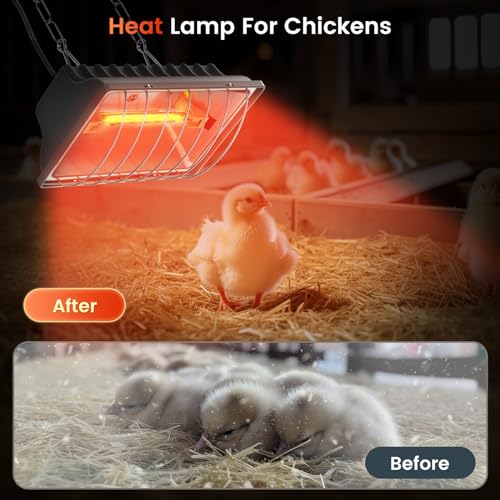 300W Chicken Coop Heat Lamp Brooder Heater for Chicks | 9.84ft Cord UL Passed Heating Plate & Heat Lamp with Adjustable Hanging Height for Livestock Supplies Indoor Warmer(2 Pack)