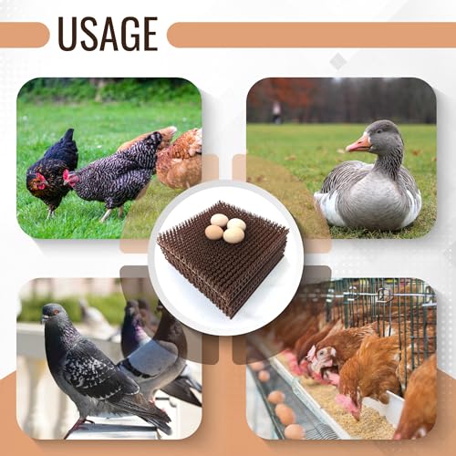 Hen's Choice™ - NestTurf Chicken Nesting Box Pad | Washable Plastic Nesting Box Liner | Chicken Bedding for Coop (12" x 12" (x6 Soft)) - size: 12" x 12" (x6 soft)