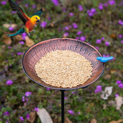 Metal Bird Bath for Outdoor,10" Wide Birdfeeder with Metal Stake | Vintage Bird Baths Feeder Bowl for Outdoors Garden Patio Yard Lawn Decor (Antique Bronze) - color: Brown-2
