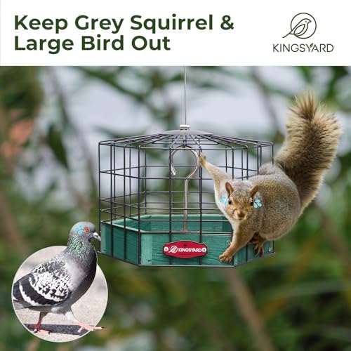 Kingsyard Squirrel Proof Platform Bird Feeder | Metal Mesh Tray, Recycled Poly Lumber Feeder, Great for Small Wildbirds Finches Bluebird Mealworm, Green - color: Green