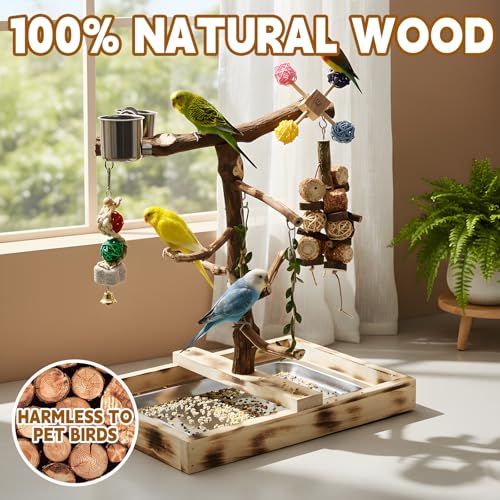 Large Natural Wood Bird Perch Playground for Small Parrots Budgies Conures Lovebirds