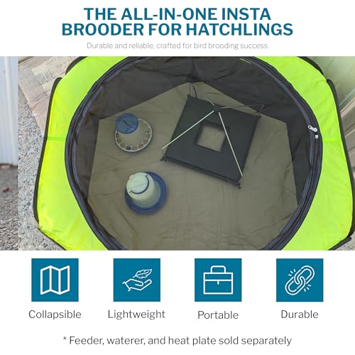 Insta Brooder™ for Hatchlings, Chicken Pop Up Playpen, 10.5 x 10 x 4 inches