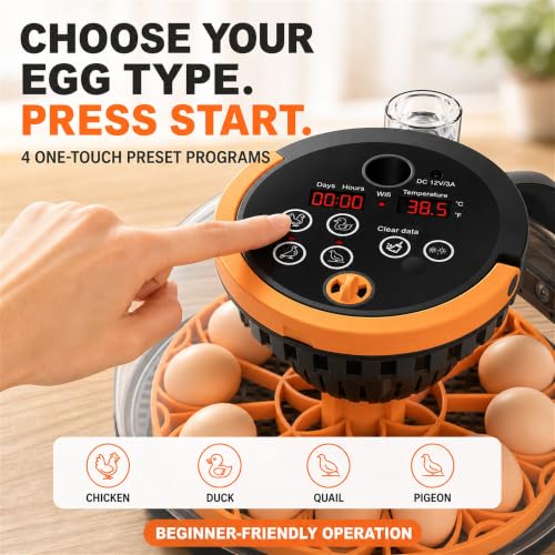 12-Egg Incubator for Hatching Chicken Eggs with WiFi Camera and Auto Turner | Built-in egg candler, temperature and humidity control, app monitoring and 8GB microSD for duck, quail and pigeon eggs.