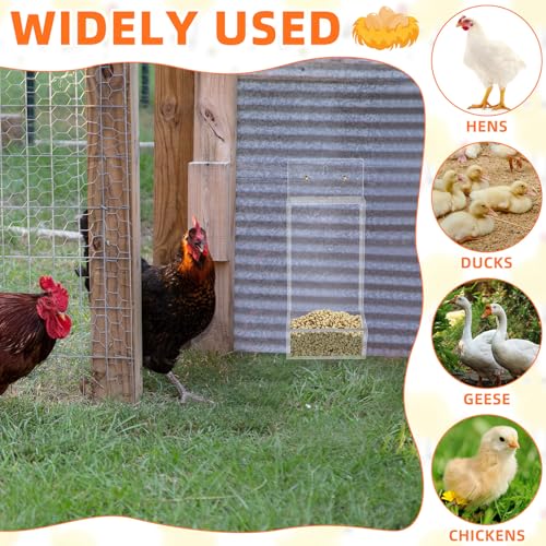 Hushee 1 Pack Acrylic Oyster Shell and Grit Feeder for Chickens, Clear Automatic Chickens Feeder with Lid Chicken Coop Accessories Multiple Installation Methods for Hens Chicks Cages Wall Pillar
