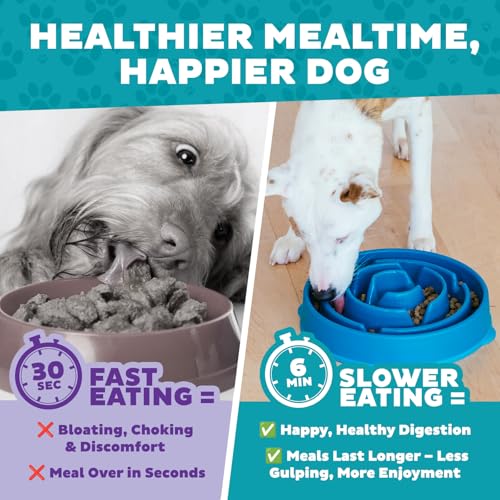 Outward Hound Fun Feeder Slo Bowl – Large 4‑Cup Capacity,Slow Feeding,Medium to Large Dogs,Non‑Slip,Turquoise,Drop Pattern,(Pack of 6) - color: Turquoise, size: Large (Pack of 6)