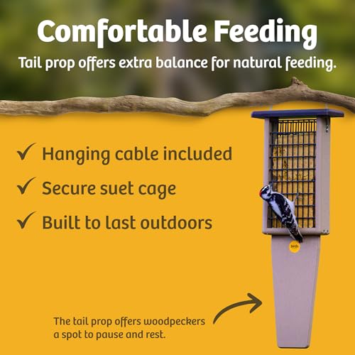 Birds Choice Pileated Suet Feeder with Tail Prop, Holds 2 Suet Cakes | Hanging Suet Bird Feeder for Woodpeckers, Jays, Nuthatches | Sturdy for Garden & Backyard | Taupe & Green, 8" L x 3" W x 22.5" H | Hanging Feeder for Woodpeckers, Jays and Nuthatches,