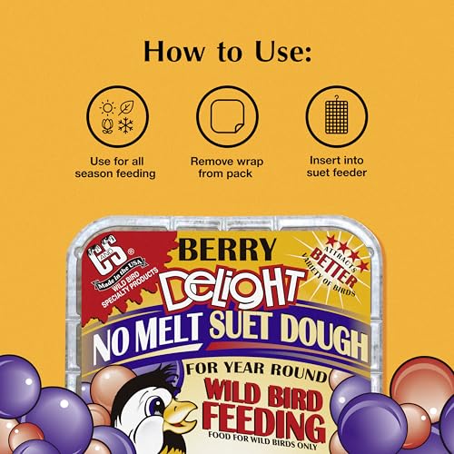 C&S Berry Delight No Melt Suet Dough, Suet Cakes for Wild Birds Including Robins, Blue Jays, Bluebirds, Tanagers, Thrushes and More, 11.75 Ounces, Pack of 8 - size: 1.47 Ounce (Pack of 8), style: Berry, 8 Pack