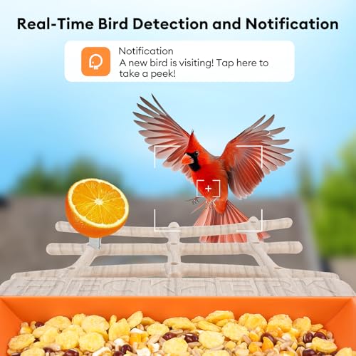 Bird Feeder with Camera Solar Powered, Smart Birds Feeder for Outside, AI Bird Identification Auto Capture Videos Pictures, 2K Live Feed Cam for Backyard, Ideal Gift for Birds Lover - color: light brown