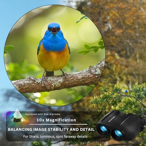 10x25 Compact Binoculars for Adults and Kids | Bird Watching, Travel, Cruise Ship, Sport Games, Theater, Concerts, Road Trip - color: Black, size: 10x25