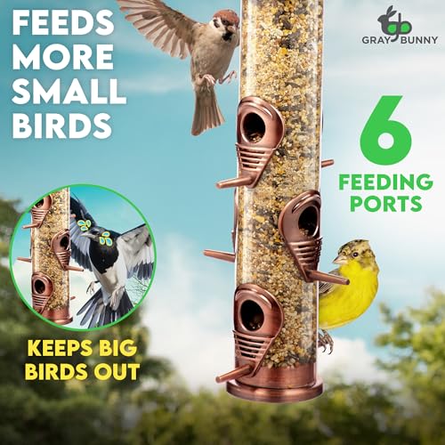 Gray Bunny Squirrel Proof Bird Feeders for Outdoors 6 Port Metal Tube | Cooper bird feeder squirrel proof, locking lid & adjustable hanger, chew-proof, weather resistant, easy clean - color: Copper